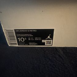 Jordan retro 12