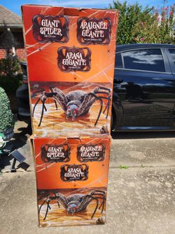 Giant Spider