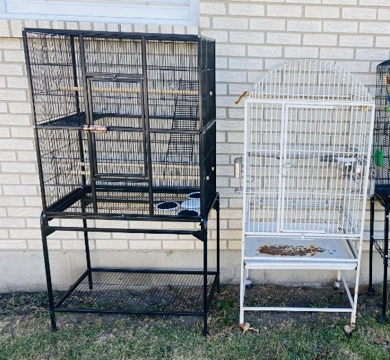(2) BIRD CAGES $140.00 EACH