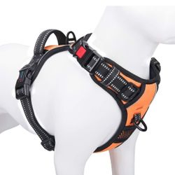 Dog Harness