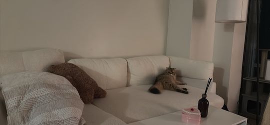 Large Teddy couch with storage