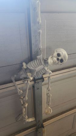 Skeleton, Halloween Decoration