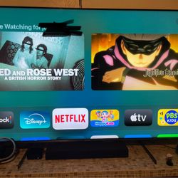 65 Inch Mini Led Tv
