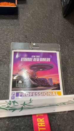 SDCC badge Sunday