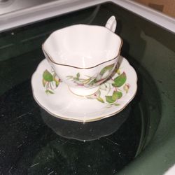 Vintage English Regency Tea Cup & Saucer ("Fuchsia" Porcelain Bone China)