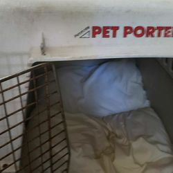 Large Dog CRATE CLEAN & READY