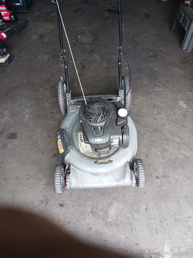 Briggs 21" Push Mower Serviced