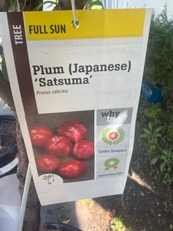 New plants just arrived