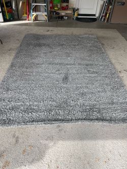 7 x 10 Area rug Grey