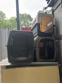 Dog Transport Cages