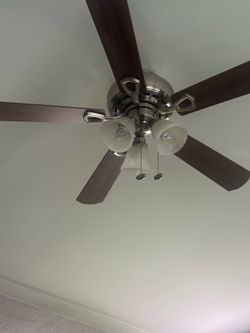 Ceiling fan