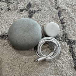 Google Home 