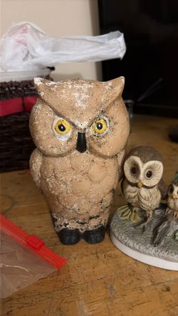 4 owls