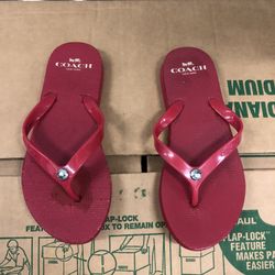 Coach abbigail sandals WMN