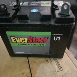 EverStart  12 V   