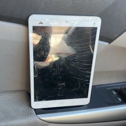 iPad 