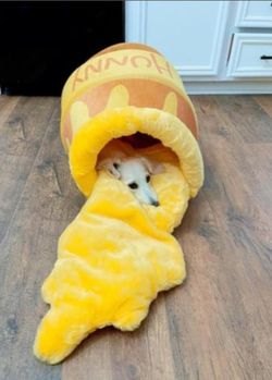 Brand new Chewy Disney Pet Beds