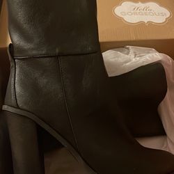 Woman’s Booties  Size 9