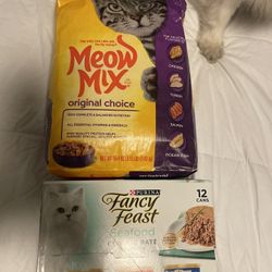 Cat Food 