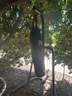 Everlast punching  bag with stant