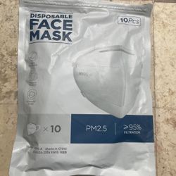 Face Mask KN 95     Disposable  10 Per Pak 
