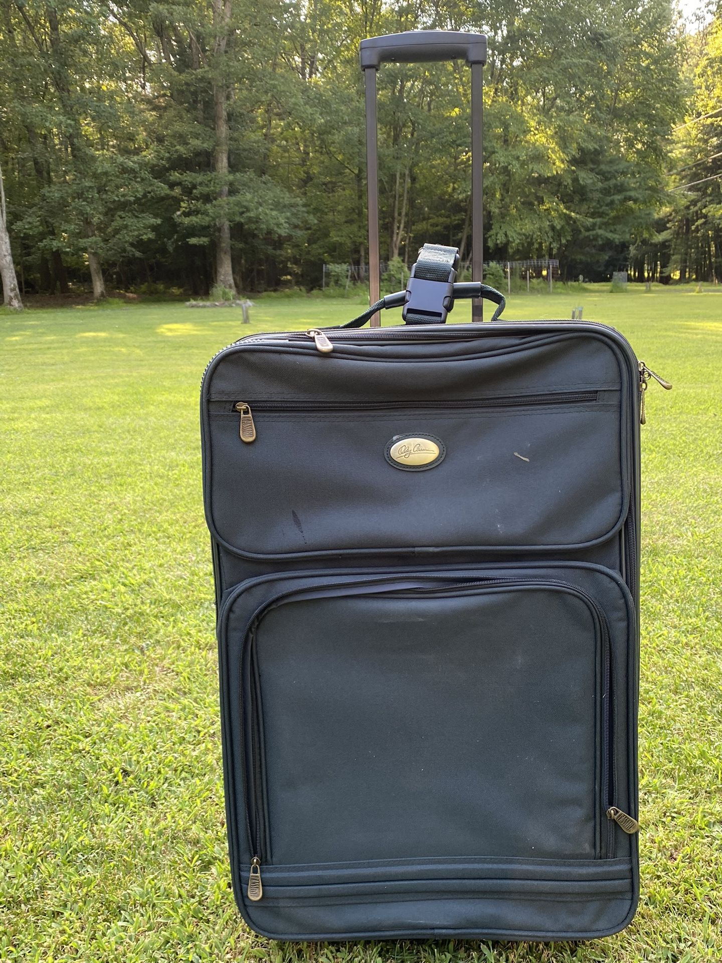 Vintage Oleg Cassini Luggage Bag