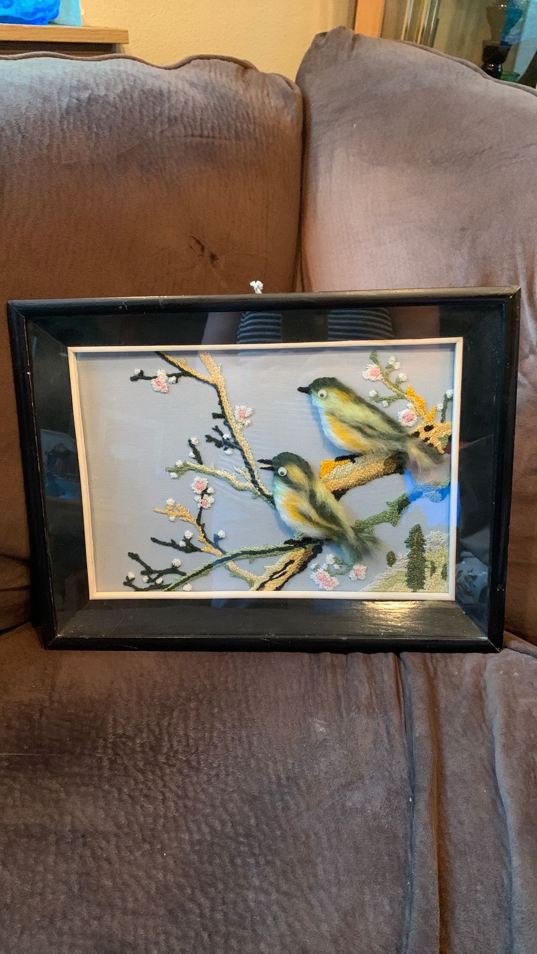 Amazing Shadow Box Framed Vintage Bird Wall Hanging