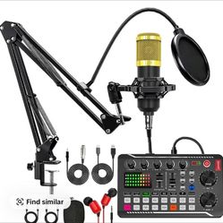 Professional Condenser Microphone