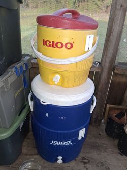 Igloo coolers