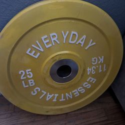 Single Bumper Plate.  25 Lbs 