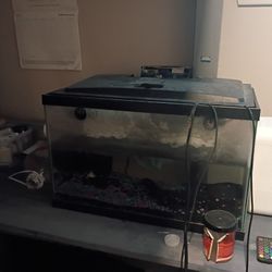 10Gallon Fish Tank