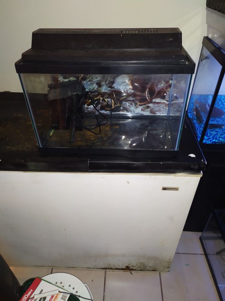 10 gallon fish tank with filter and lid/light