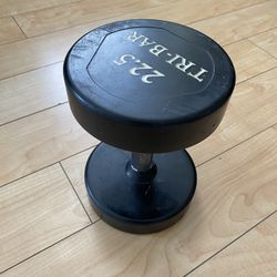 22.5LB Dumbell