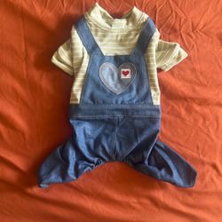 Jean Jumpsuits For Small Dog