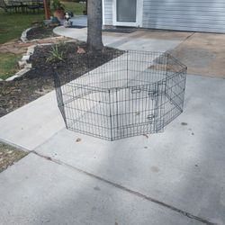 Puppy Kennel 