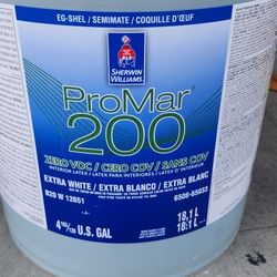 Interior And Exterior Paint 