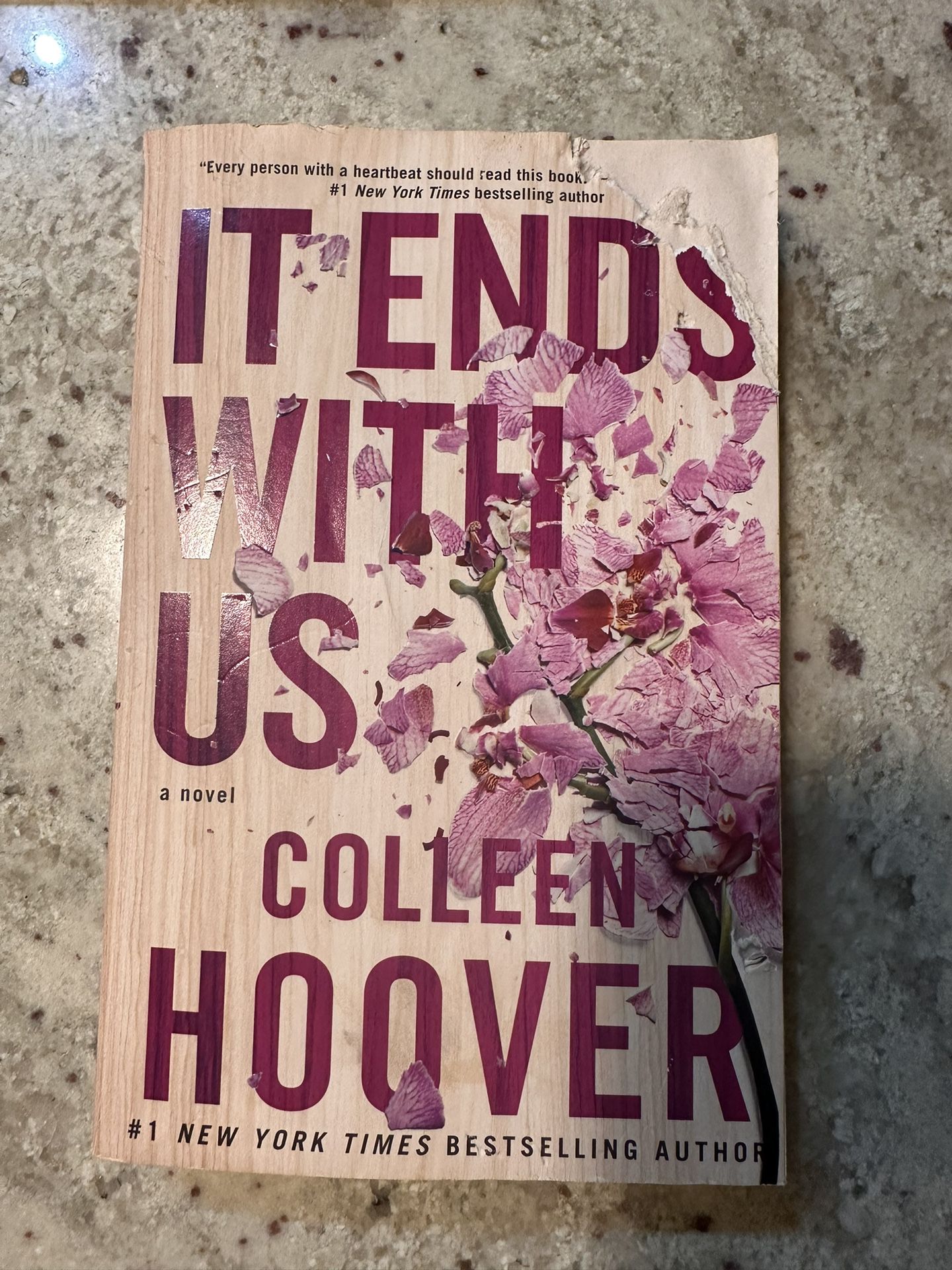 It Ends With Us Book