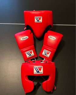 winning boxing gloves