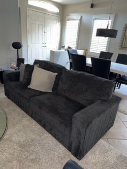 Sleeper Sofa and Love seat