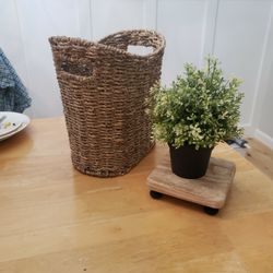Basket & Plastic Plant