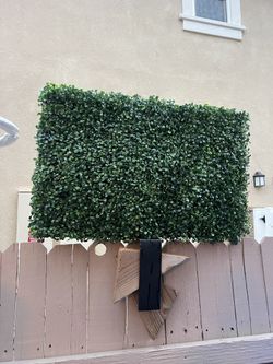 4 pack artificial boxwood hedge panels, 20”H x 30”W x 3”thick, standing on the wall 4” thick