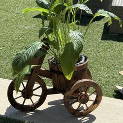 Beautiful Outdoor Bicycle-Style Wooden Planter 