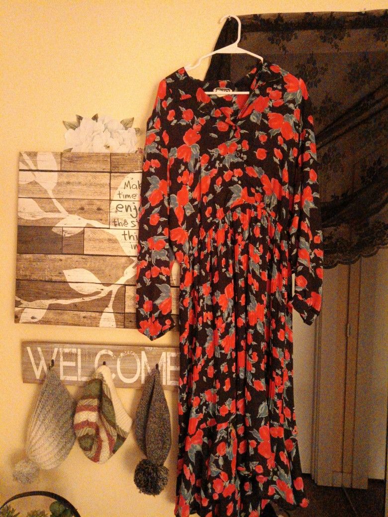 Brand New Women's Size 4 Sheer Rose Dress. (Ankle Length.)