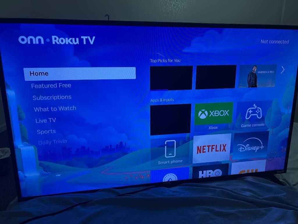 40 In Smart Roku TV 