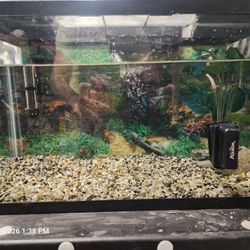 10 Gallon Fish Tank With Filter And Heater Glass Cleaner Also Substrate /background 20$ (No Light )