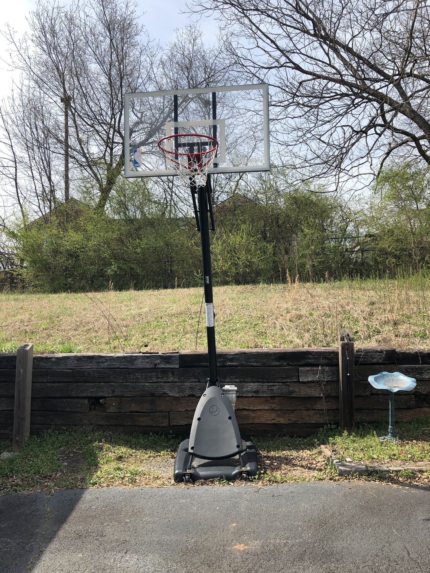 NBA Basketball Hoop $139