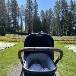 Uppa Baby Stroller Bassinet 