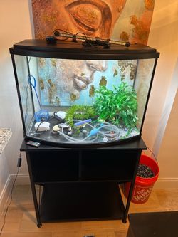 Aquarium fish tank with stand$ ⬇️