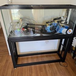 55 Gallon Tank Aquarium