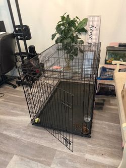 Dog Crate & Pet Feeder